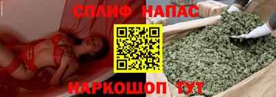 гидра Волжск