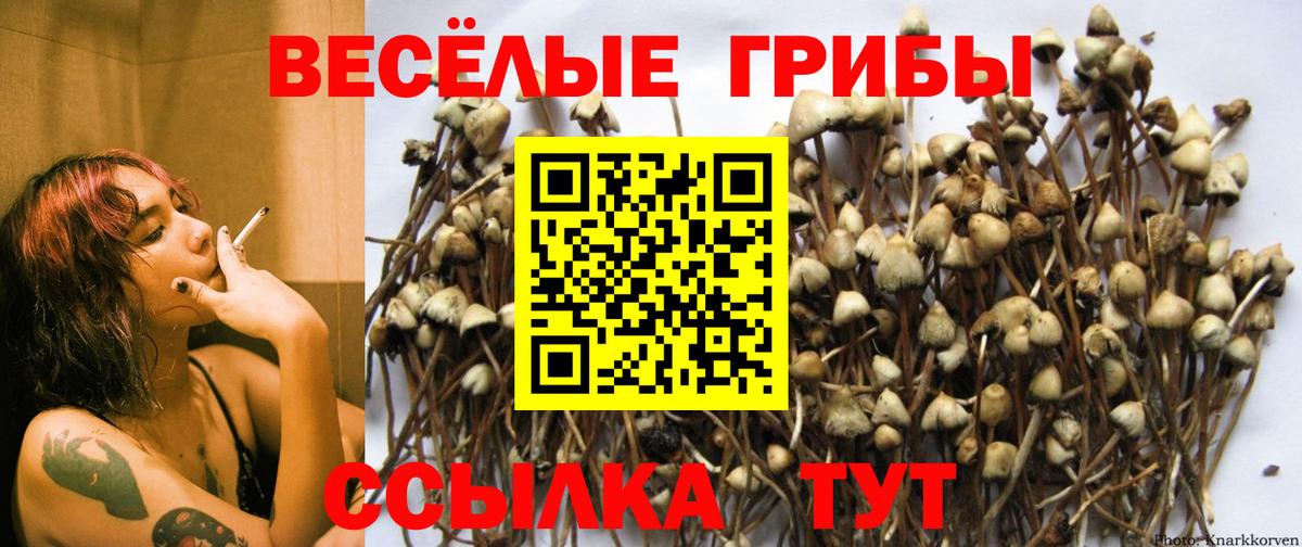Железноводск  Галлюциногенные грибы GOLDEN TEACHER  Вход с VPN 